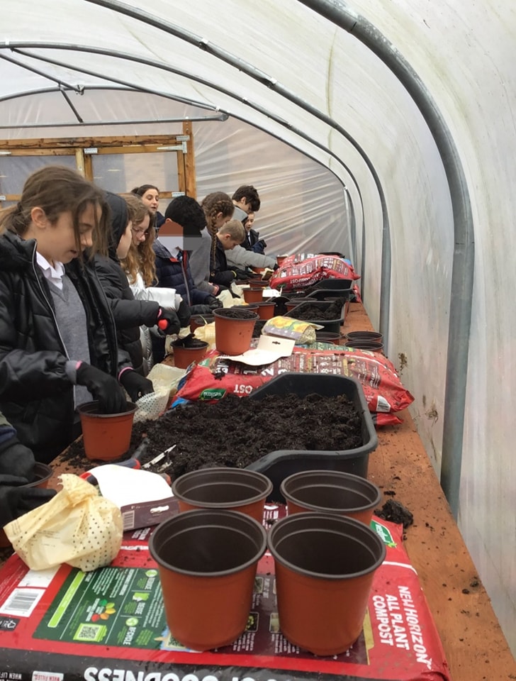 A group of students can be seen planting in plant pots inside a tent on the academy grounds.