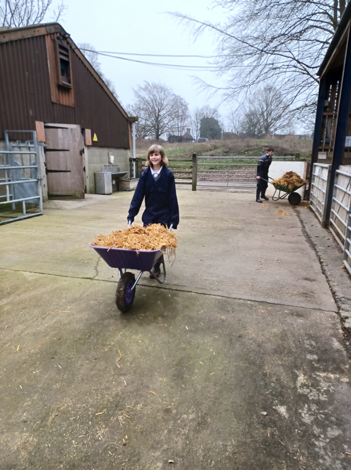 A female student from Snowfields Academy is shown pushing a wheelbarrow full of hay across a path outside a farm barn near the academy.